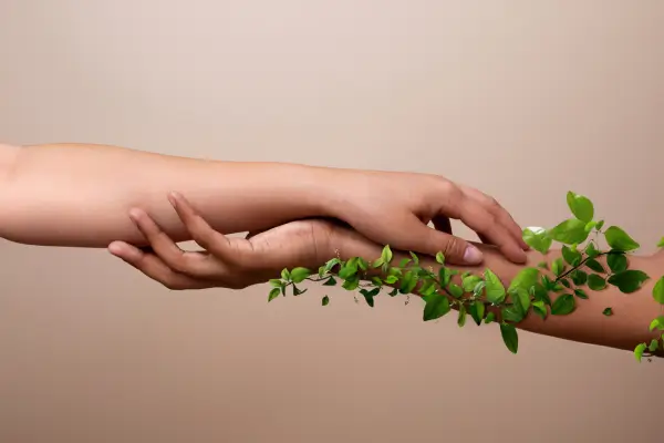 Plantas de Poder: Como os Povos da Amazônia Usam a Natureza para Cuidar do Corpo